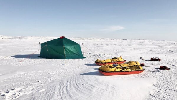 Why Exploring the Arctic Matters More Than You Think in 2026