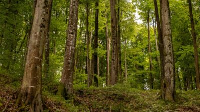 10 Hidden Gem Destinations in Eastern Europe for 2026