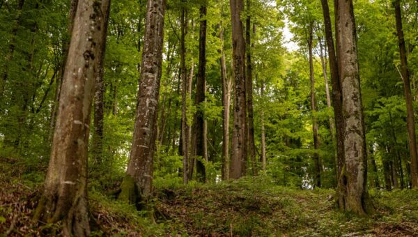 10 Hidden Gem Destinations in Eastern Europe for 2026