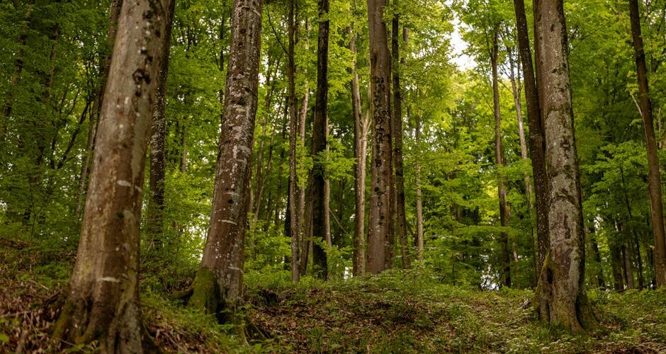 10 Hidden Gem Destinations in Eastern Europe for 2026