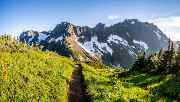7 Essential Tips for Hiking the Pacific Crest Trail