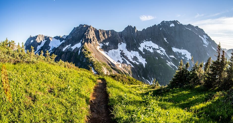 7 Essential Tips for Hiking the Pacific Crest Trail