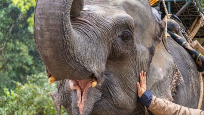 Why Responsible Tourism is Crucial for 2026 Adventure Trips