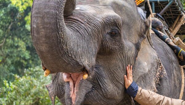 Why Responsible Tourism is Crucial for 2026 Adventure Trips