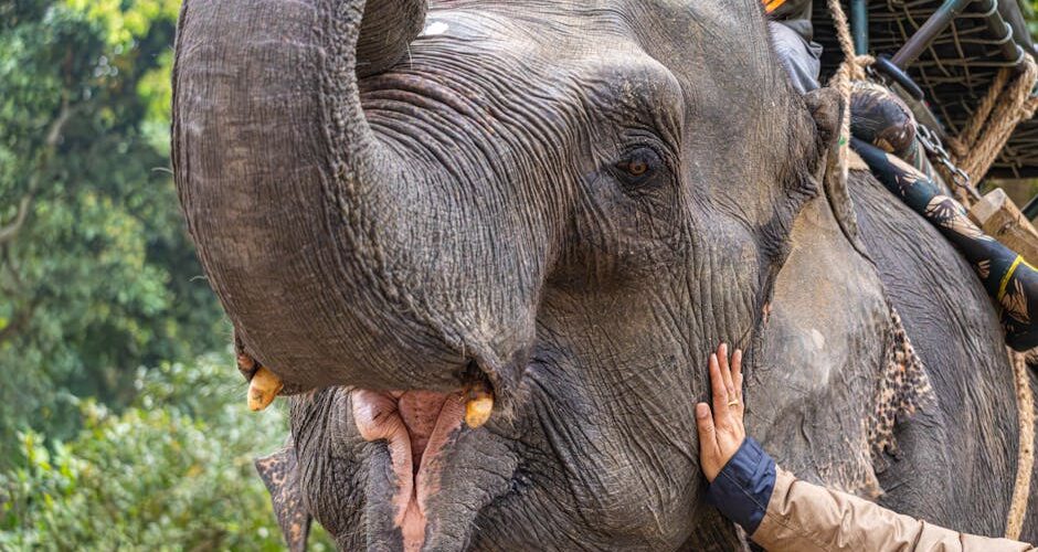 Why Responsible Tourism is Crucial for 2026 Adventure Trips