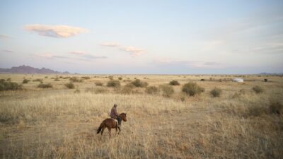 The Untamed Wonders of the Mongolian Steppe: A 2026 Adventure Guide