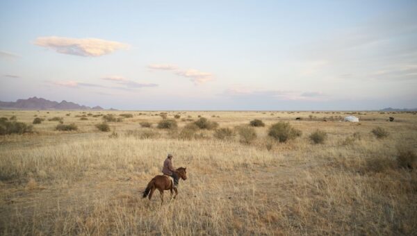 The Untamed Wonders of the Mongolian Steppe: A 2026 Adventure Guide