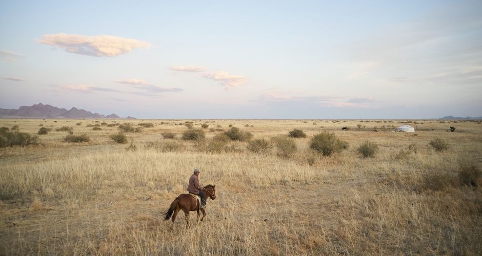 The Untamed Wonders of the Mongolian Steppe: A 2026 Adventure Guide