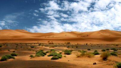 Stargazing in the Sahara: A 2026 Adventure Under Unmatched Night Skies