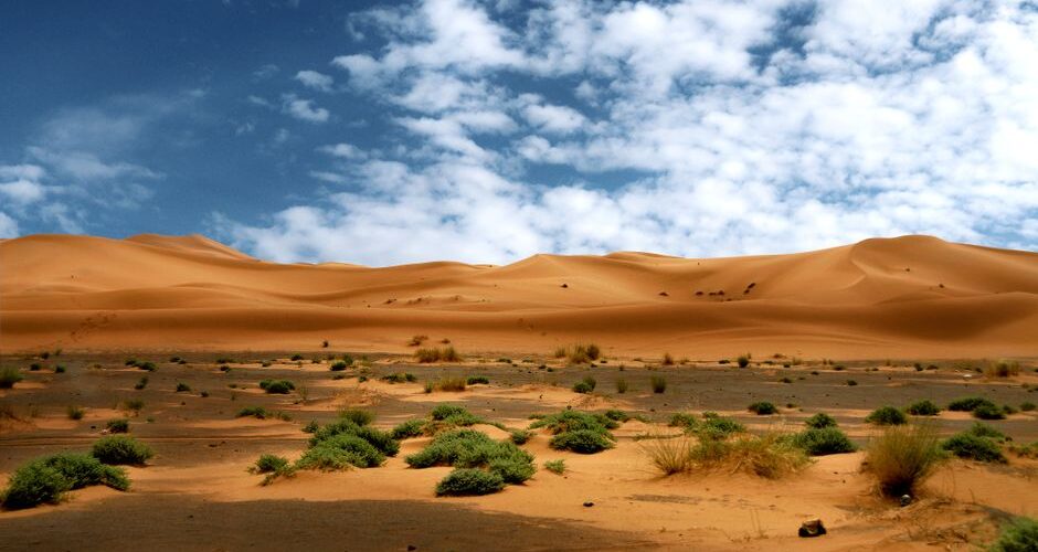 Stargazing in the Sahara: A 2026 Adventure Under Unmatched Night Skies
